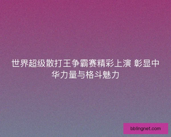 世界超级散打王争霸赛精彩上演 彰显中华力量与格斗魅力