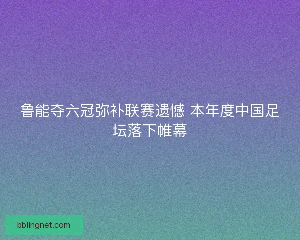鲁能夺六冠弥补联赛遗憾 本年度中国足坛落下帷幕